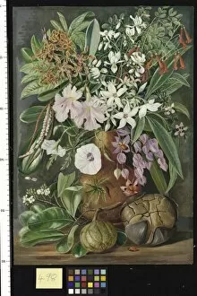 Images Dated 25th May 2011: 498. A Selection of Flowers. Wild and Cultivated, with Puzzle Nu