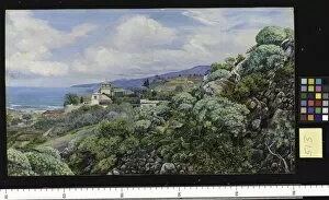Teneriffe Collection: 513. View of Sitio del Pardo, 0rotava, Teneriffe