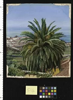 Teneriffe Collection: 514. View of Puerto de Orotava, Teneriffe, from the Sitio del Pa
