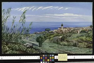 Marianne North Gallery: 524. View of Icod, Teneriffe