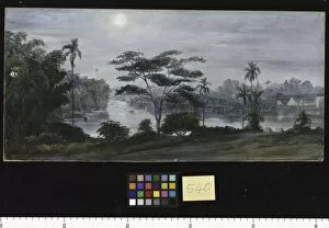 Marianne North Collection: 540. Moonlight View from the Istana, Sarawak, Borneo