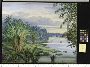 Marianne North Collection: 543. View of Kuching and River, Sarawak, Borneo