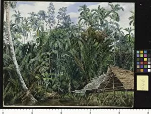 Sarawak Gallery: 546. Old Boat-house and Riverside Vegetation, Sarawak