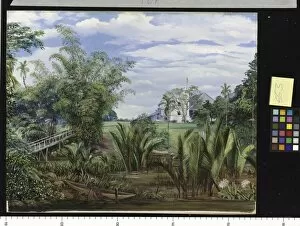 Landscape Gallery: 553. The Istana, from the Slanting Bridge, Sarawak