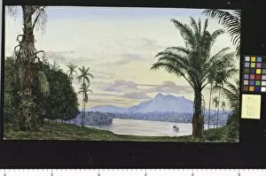 Marianne North Collection: 557. View of Matang and River, Sarawak, Borneo