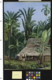 Buitenzorg Collection: 610. A Tailors Shop in the Botanic Garden, Buitenzorg, shaded b