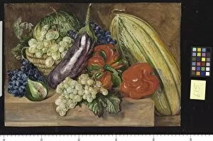 Fruits Gallery: 615. Collection of Fruits, painted at Lisbon