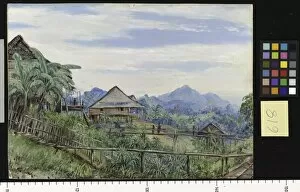 Marianne North Collection: 618. Houses and Bridges of the Malays at Sarawak, Borneo