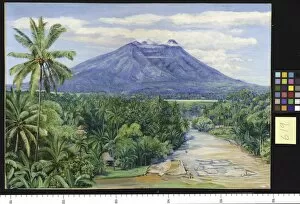 Buitenzorg Collection: 619. View of the Salak Volcano, Java, from Buitenzorg
