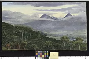 Marianne North Collection: 621. The Papandayang Volcano, Java, seen from Mr. Ho11es tea pl