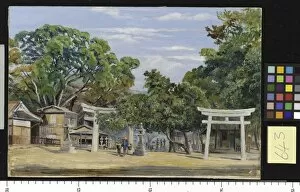Marianne North Collection: 643. Gate of the Temple of Kobe, Japan, and Wistaria