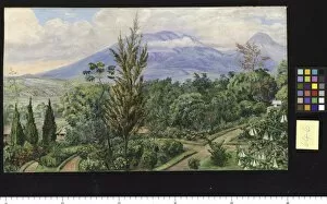 Marianne North Gallery: 646. The Gader Volcano, Java, from Sindang Laya
