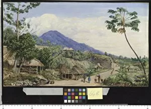 Marianne North Gallery: 648. Roadside View from Sindang Laya, Java