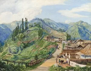 Marianne North Gallery: 649. Village of Tosari, Java, 6000 feet above the level of the sea