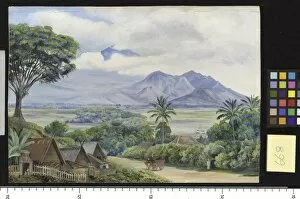 Marianne North Collection: 668. View from Malang, Java
