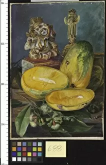 Images Dated 30th June 2011: 688. Foliage and Flowers of the Clove, Fruit of the Mango, and Hindoo God of Wisdom, 1880