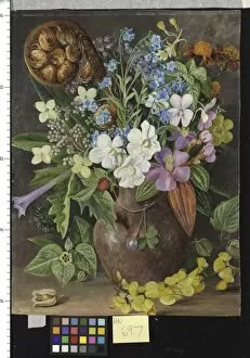 Java Gallery: 697. Group of Wild Flowers of Java, from Tosari