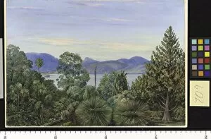 Marianne North Collection: 709. View from the Botanic Gardens, Hobart Town, Tasmania