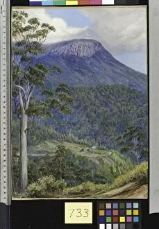 Marianne North Collection: 733. View of the Organ Pipes, Mount Wellington, Tasmania. 733