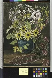 Marianne North Gallery: 742. Wild Flowers of Victoria and New South Wales