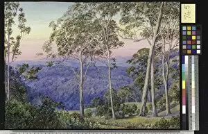 Marianne North Collection: 745. Evening Glow over The Range. 745. Evening Glow over The Range