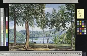 Landscape Gallery: 819. View from Kalutara, Ceylon