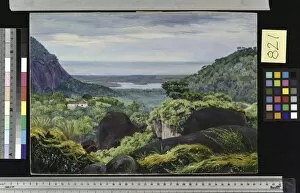 Marianne North Gallery: 821. View near Tijuca, Brazil, Granite Boulders in the foregroun