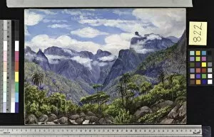 Marianne North Collection: 822. Noonday View in the Organ Mountains, Brazil, from Barara