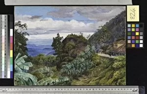 Marianne North Gallery: 824. View from the Sierra of Theresopolis, Brazil