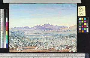 Marianne North Collection: 828. View of the Bell Mountain of Quillota, Chili, with colonise
