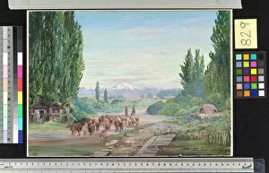Marianne North Collection: 829. One of the Volcanoes of the Cordilleras, from Poplar Avenue