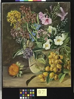 Marianne North Gallery: 87. Group of Brazilian Forest Wild Flowers and Berries