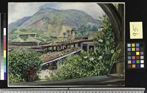 Marianne North Collection: 95. View of the Old Gold Works from the verandah at Morro Velho