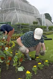 In the gardens Gallery: all in a days work