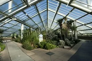 Glasshouses Gallery: Arid zone, Princess of Wales Conservatory