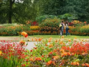 Royal Botanic Gardens Collection: The Broadwalk, RBG Kew