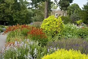 Cambridge cottage garden