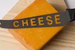 003984lt Collection: cheese