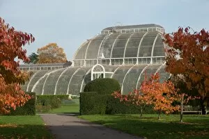 Architecture Gallery: Cherry Walk and the Palm House in Autumn