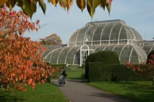 Cherry Walk and the Palm House in Autumn