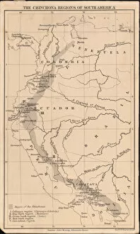 History Collection: The Cinchona Region of South America, 1862