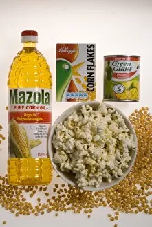 Corn products