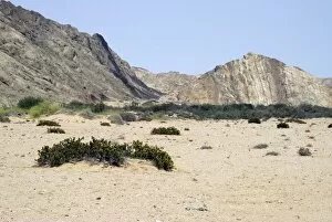 Africa Collection: Desert landscape
