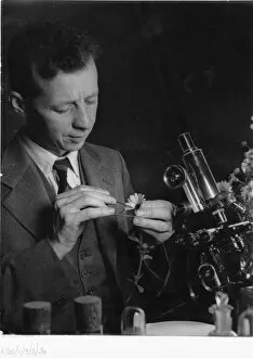 Monochrome Collection: Dr R. Melville, scientist at Kew, 1940 s
