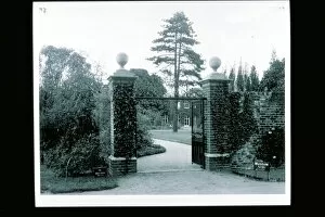 Early 20th Century Collection: Dukes Garden