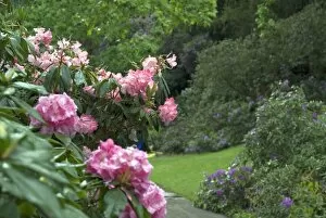 Specialised gardens Collection: The Gardens