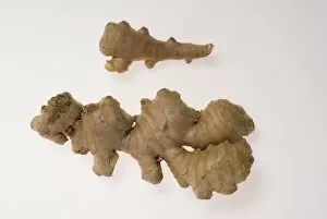 Ginger Collection: Ginger