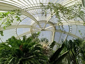 Architecture Gallery: Glasshouses