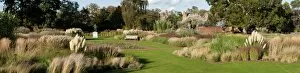 Panoramas Collection: Grass Garden