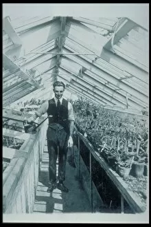 Temperate House Collection: H. W. Sayer